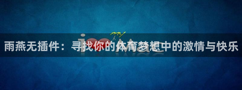 黑白足球：雨燕无插件：寻找你的体育梦想中的激情与快乐