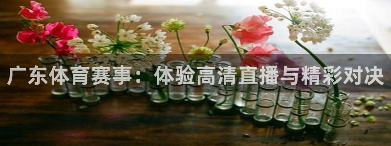 体育黑白直播：广东体育赛事：体验高清直播与精彩对决