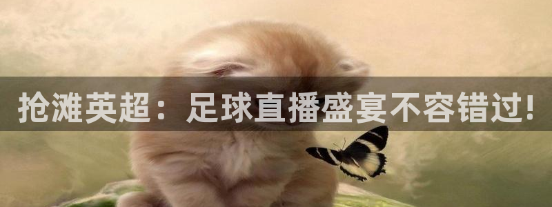 黑白免费体育直播：抢滩英超：足球直播盛宴不容错过!