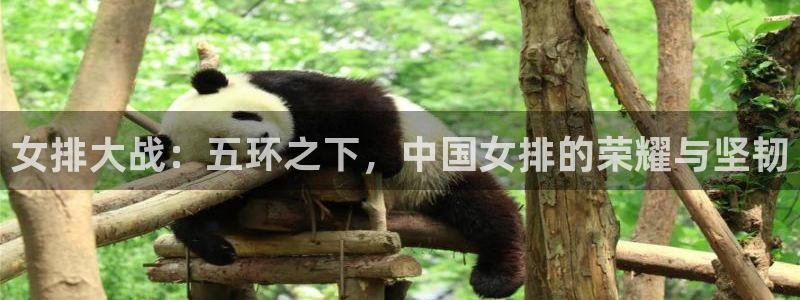 nba在线直播免费观看直播黑白直播：女排大战：五环之下，中国女排的荣耀与坚韧