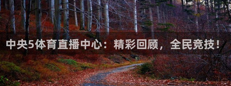 黑白直播nba在线观看回放：中央5体育直播中心：精彩回顾，全民竞技！