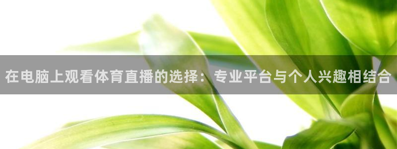 nba赛程黑白直播nba：在电脑上观看体育直播的选择：专业平台与个人兴趣相结合
