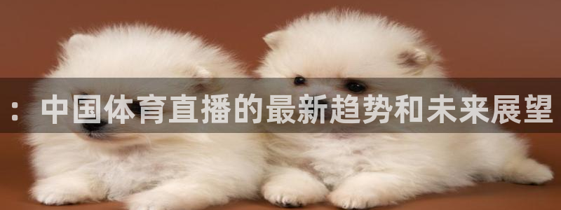 黑白篮球直播网：：中国体育直播的最新趋势和未来展望
