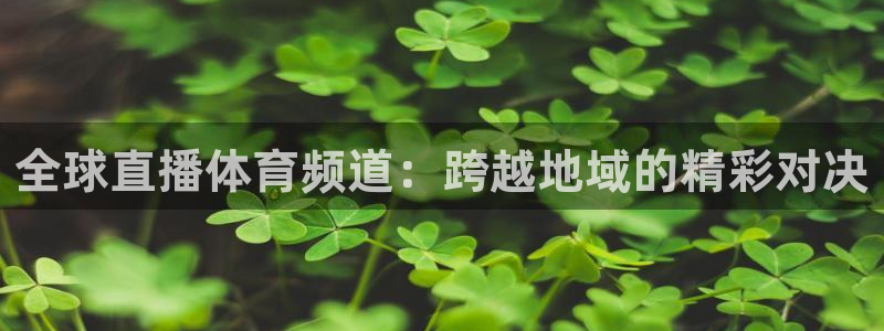 nba在线观看免费观看黑白直播：全球直播体育频道：跨越地域的精彩对决