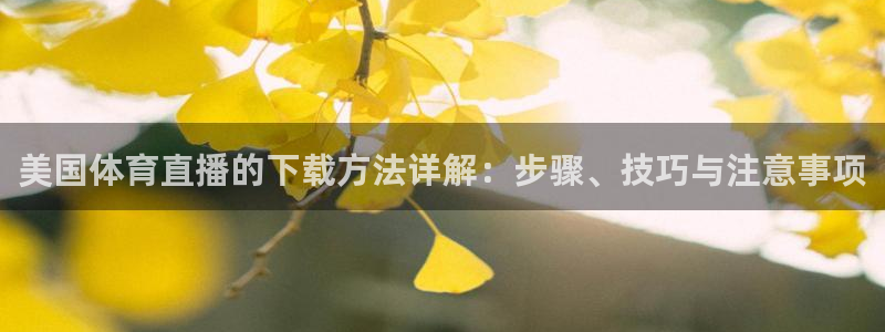 黑白足球直播在线观看免费：美国体育直播的下载方法详解：步骤、技巧与注意事项