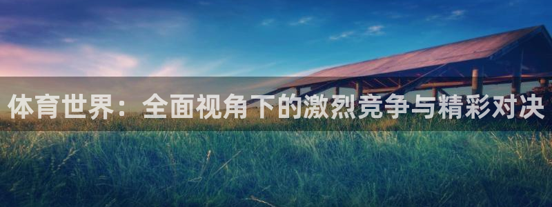 nba免费黑白直播：体育世界：全面视角下的激烈竞争与精彩对决