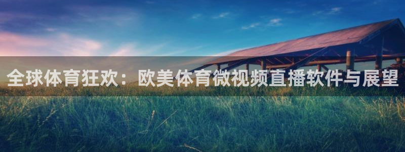 黑白体育直播app新版本新页面.点进官网.org：全球体育狂欢：欧美体育微视频直播软件与展望
