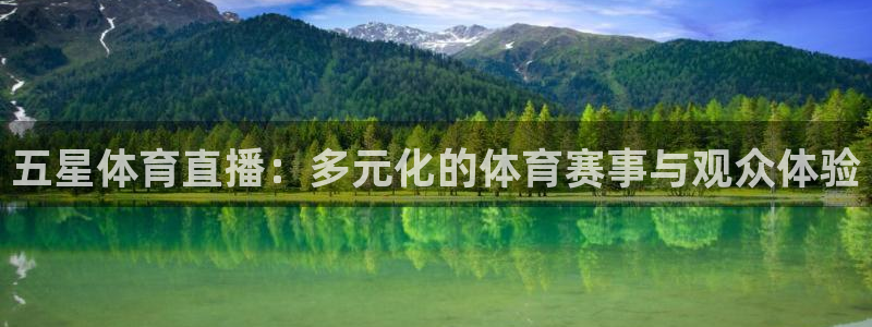 黑白nba体育直播在哪看：五星体育直播：多元化的体育赛事与观众体验