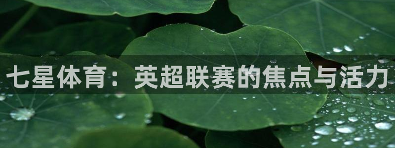 nba黑白体育免费直播：七星体育：英超联赛的焦点与活力