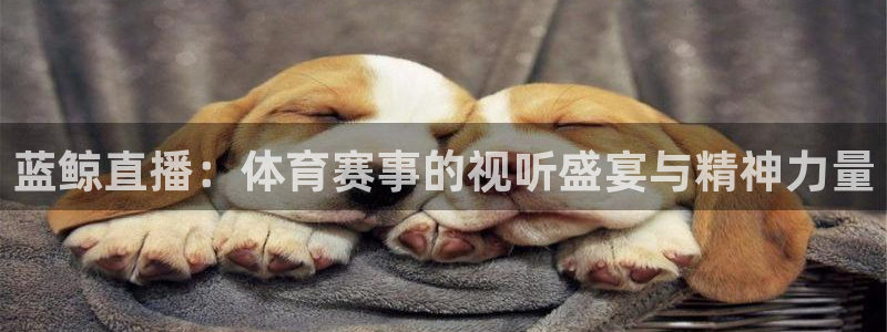 黑白足球直播吧：蓝鲸直播：体育赛事的视听盛宴与精神力量