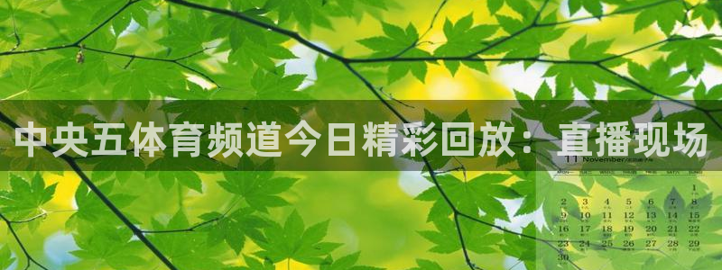 黑白体育nba免费观看：中央五体育频道今日精彩回放：直播现场