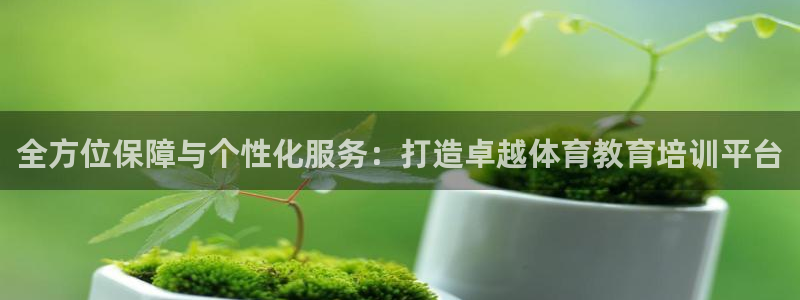 旧版黑白直播体育app下载：全方位保障与个性化服务：打造卓越体育教育培训平台